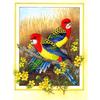 DIY Diamond Painting 5D Bird Embroidery Animal Home Decoration Mosaic Handmade Gift