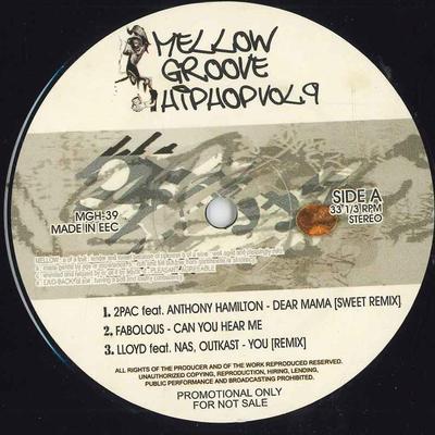 12-дюймовая пластинка VARIOUS - Mellow Groove Hiphop Vol.9 MGH39 НЕТ Неизвестный Рэп и Хип-хоп/R&B Б/У