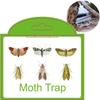2/5/10 шт. Ловушки для моли Кладовая Одежда Кухня Еда Дом Сад Борьба с вредителями Ловушки для моли Феромон Моль Наклейка Ловушка для моли