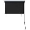 Outdoor Roller Blind 100 x 250 cm Anthracite