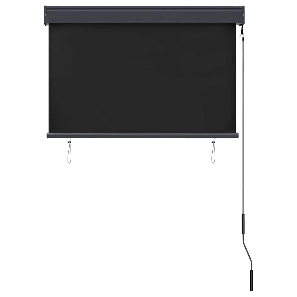 Outdoor Roller Blind 100 x 250 cm Anthracite