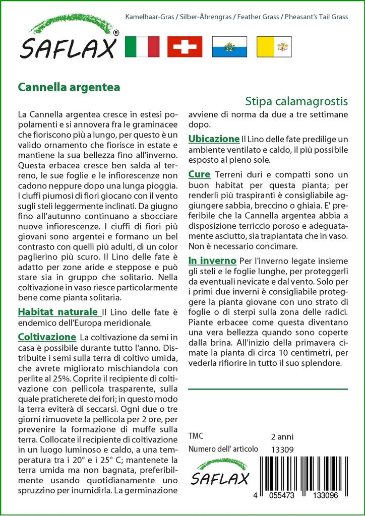 SAFLAX Ковыль / Трава фазаньего хвоста - 50 семян - Stipa Calamagrostis