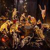 Новая декорация Скелет Собаки на Хэллоуин Жуткий Скелет Животное Щенячьи Кости Скелетная Декорация Для Хэллоуина В Помещении На Улице