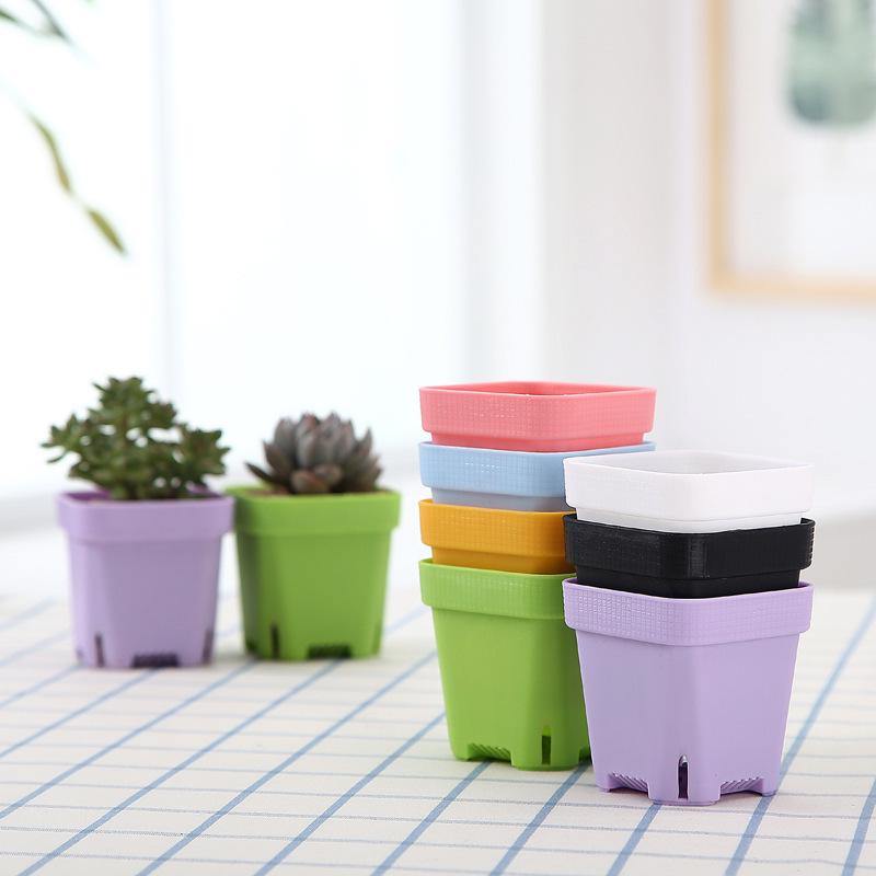 Sturdy Black Square Flower Pot for Succulents and Lithops Seedlings - Durable and Breathable Design