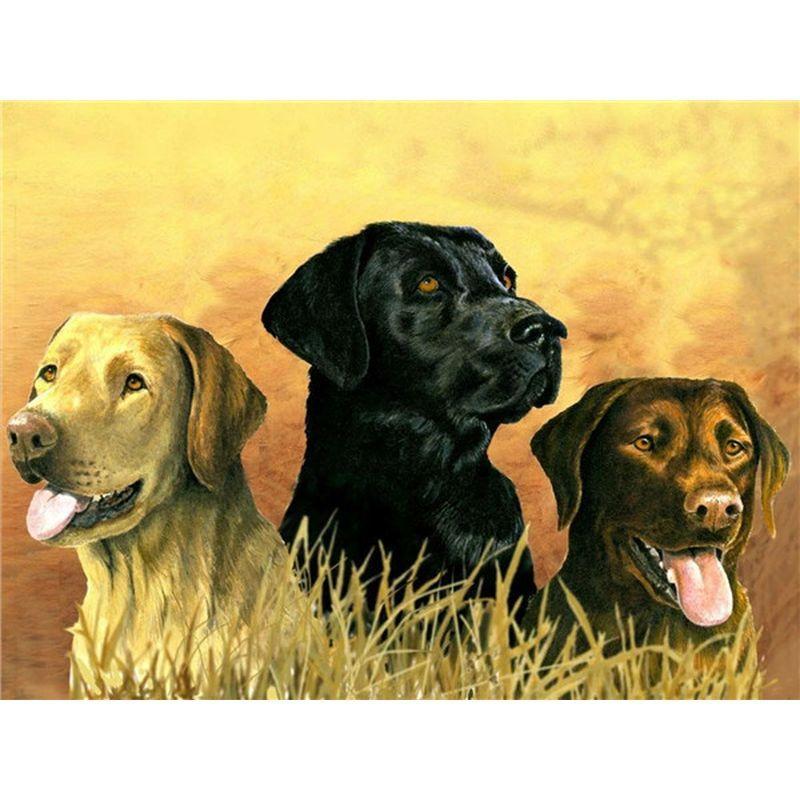 Diamond Frameless Art 5d Painting Kits Dog Diamond Embroidery Mosaic Animals Crafts Pictures For The Home Decor