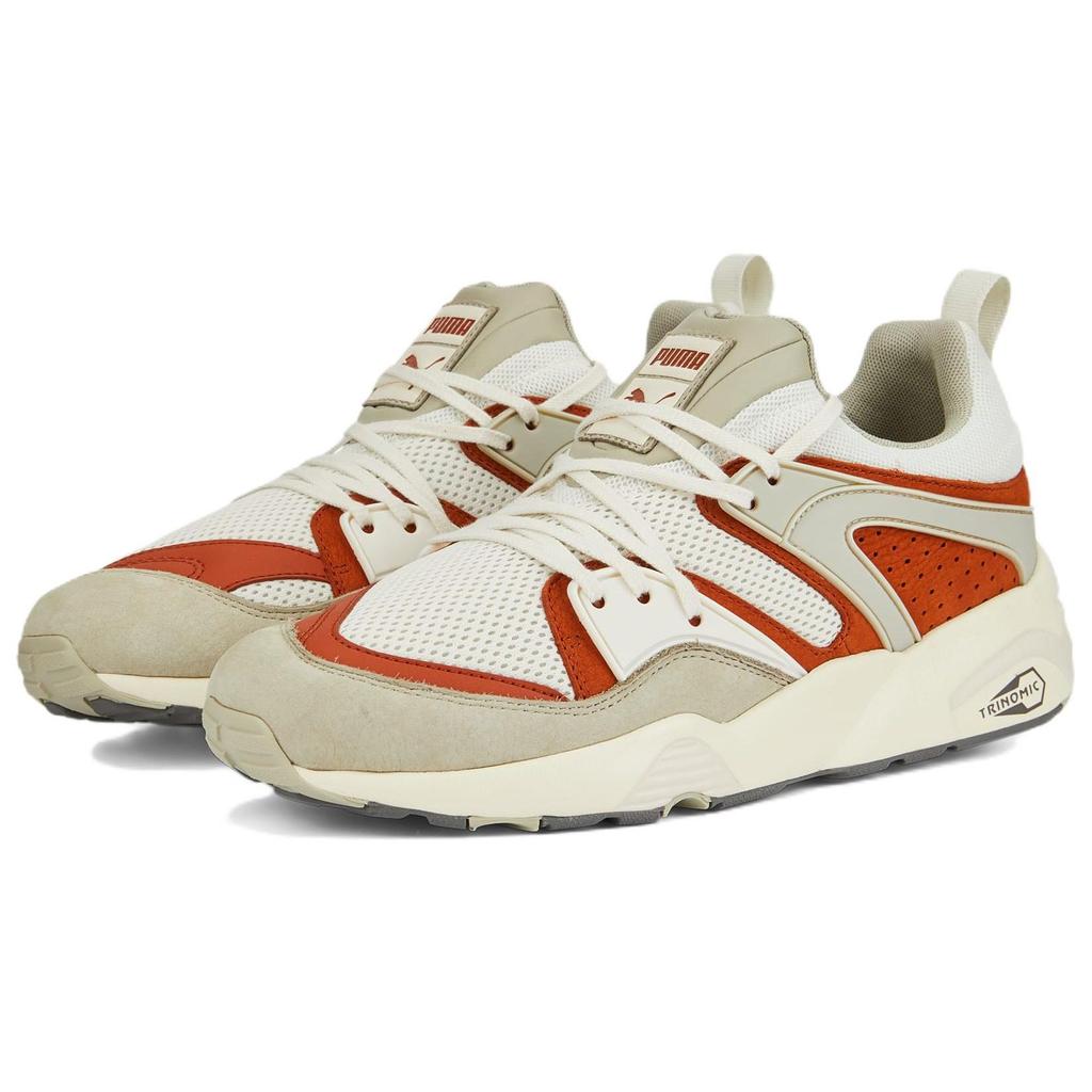 Puma Blaze Of Glory Vaporous Grey Warm Chestnut Мужские Кроссовки Коричневые 387575-03