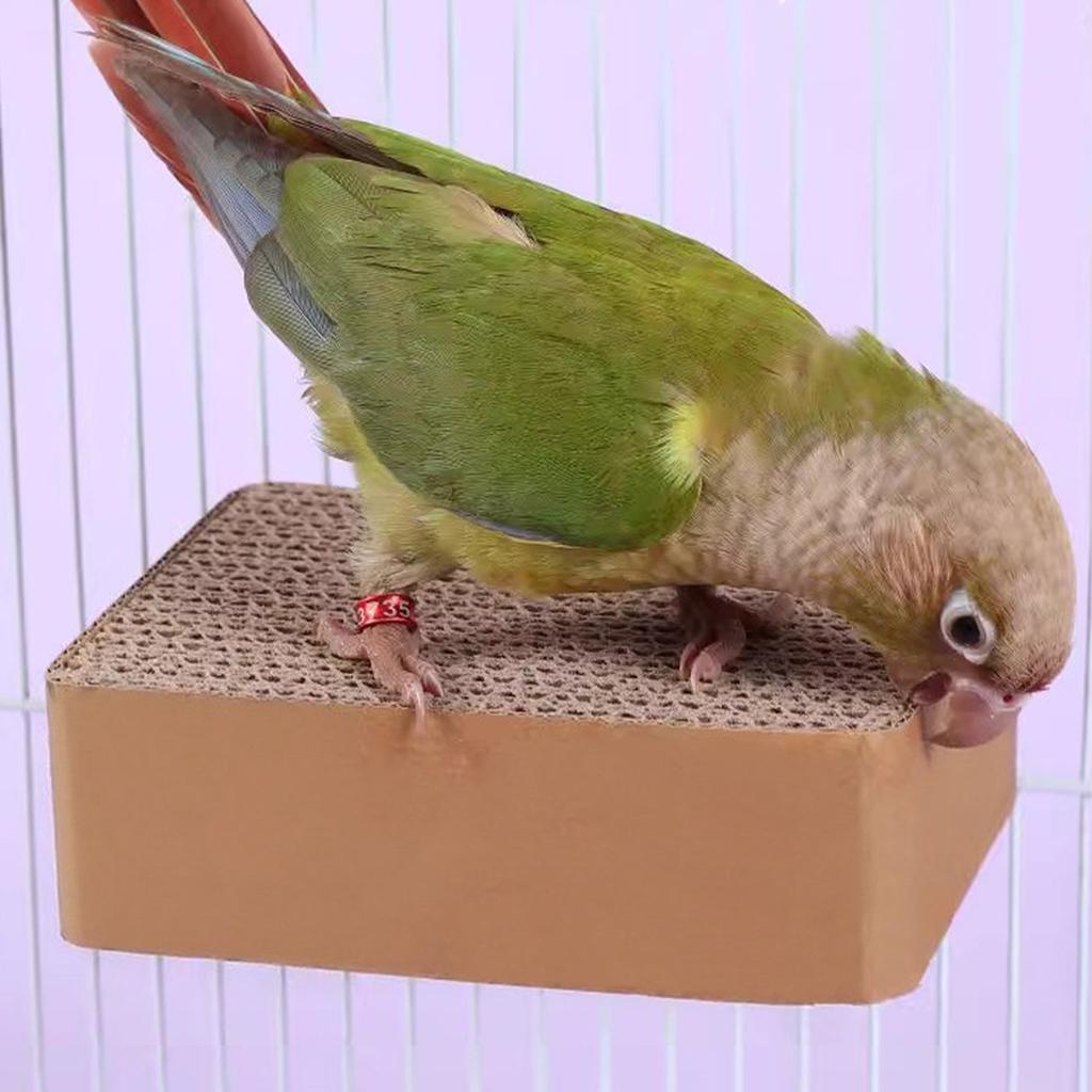 Interactive Bird Toy Corrugated Paper Chewing Board for Cockatiel Budgie Biting Training Enrichment Cage Accessory Durable
