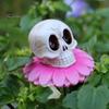 Прочные Уличные Скелеты из Смолы 3 шт./Набор Садовые Колышки-Черепа для Хэллоуина, Декоративные Колышки-Хризантемы для Украшения Цветов Газона Патио Клумбы