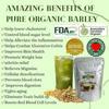 250g Organic Barley Grass Powder original Organic Non-GMO Vegan Cold-Juiced