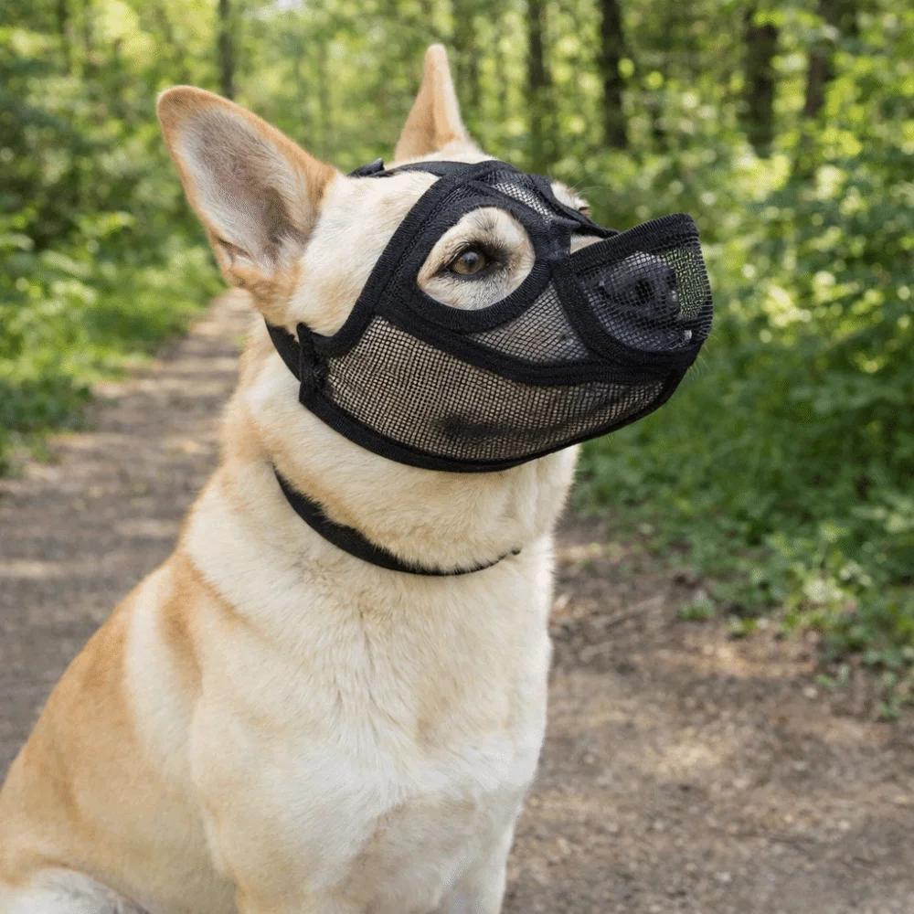 Практичный сетчатый намордник для собаки, регулируемый, против поедания, от укусов, дышащий, позволяет пить, накладка на морду для питомца, останавливает лай