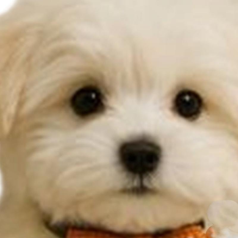Художественная фигурка собаки Держатель для туалетной бумаги Удобный размер Легкая чистка Изделие из смолы Идеально для декора небольших помещений