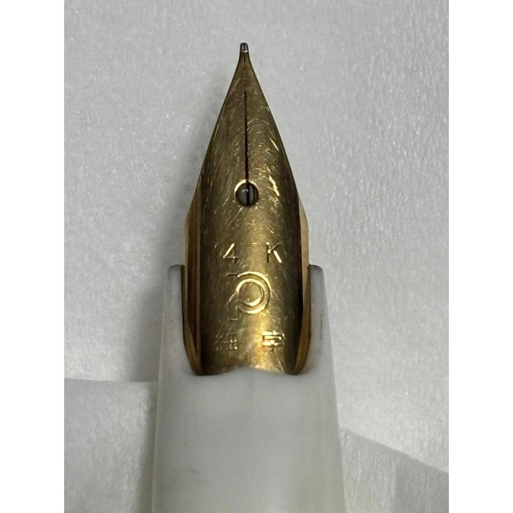 Used Platinum Fountain Pen Hibiscus Pattern