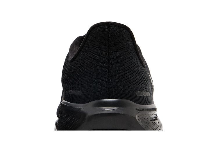 Nike Air Zoom Pegasus 41 Черный Антрацит