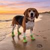 4 pcs/set Wear Resistant Dog Mesh Shoes Breathable Mesh Dog Sneakers Dog Foot Covers  City Walks