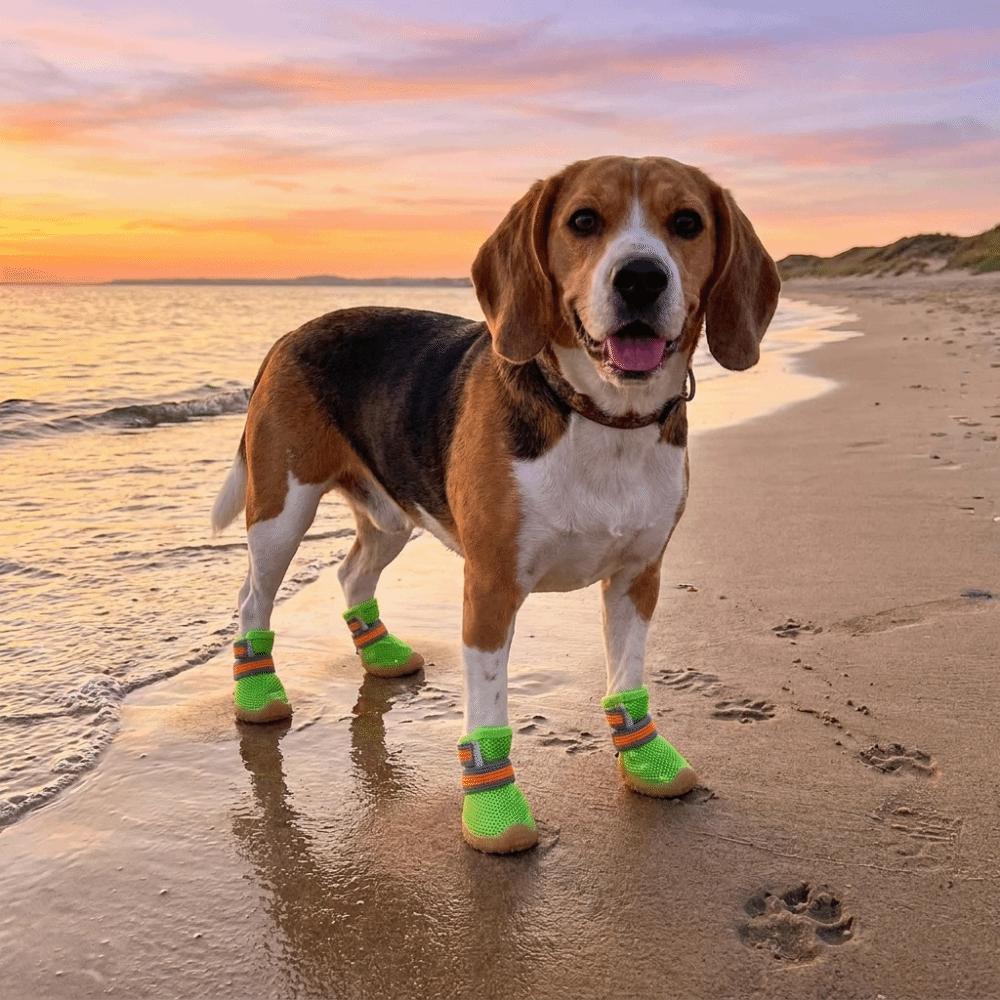 4 pcs/set Wear Resistant Dog Mesh Shoes Breathable Mesh Dog Sneakers Dog Foot Covers  City Walks