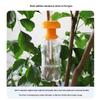 Golden Fruit Fly Trap: Effective Melon & Fruit Fly Attractant