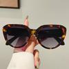 Oversized Cat Eye Sunglasses Women New Fashion Candy Color Rim Decor Sun Glasses Lady Trendy Brand Design Outdoor Shades