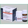 Prevest Denpro Zical Root Canal Sealant, Paste Form For Permanent Filling Dental Root Canals