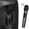 UHF Wireless Dual MIC for Live Broadcast and Performances, 30 Frequency Groups
