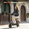 F3 1000W Adult Electric Scooter with Seat, Dual Disc Brakes, Removable Basket, Foldable, Maximum Range 55-60km, Wide Tires, City Commuting
