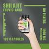Shilajifuric Acid 1000 mg - Antioxidant, energy booster, enhances endurance.