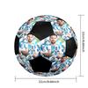 Lionel Messi Size 5 Soccer Ball, Machine-Stitched PVC, Durable & High Bounce, All Ages Fit, fan merchandise, matches & outdoor use.