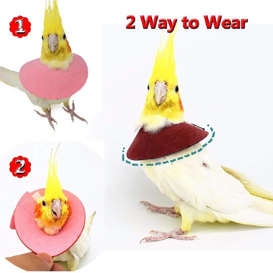 QBLEEV 4Pack Pet Parrot Anti-bite E-Collars, Anti-Grab Feather Plucking Wound Healing Safety Elizabethan Collar, Protective Recovery Cones for