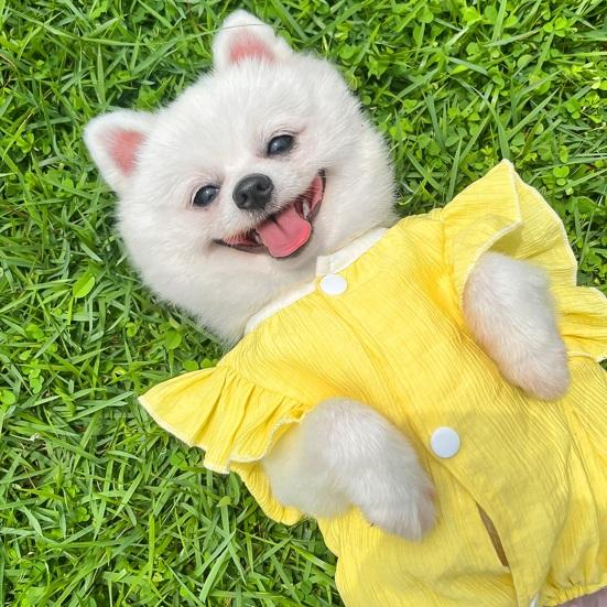 Желтая футболка для собак с уткой, летняя одежда для щенков с D-образным кольцом, жилет с рисунком для маленьких, средних и больших собак