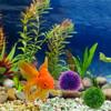 Пластиковый Шар Водной Травы Имитация Искусственные Водные Растения Шарик с Водными Растениями Дом