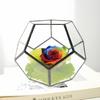 Nordic Geometric Glass Preserved Flower Decor for Home, Coffee Shop, or Wedding