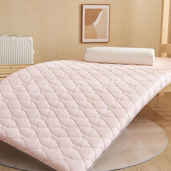WTEMPO Solid Color Soft Pad Mattress Household Smoothy Foldable Mattress Non-deformable Bedding Student Dormitory Rental House Floor Thick Mats