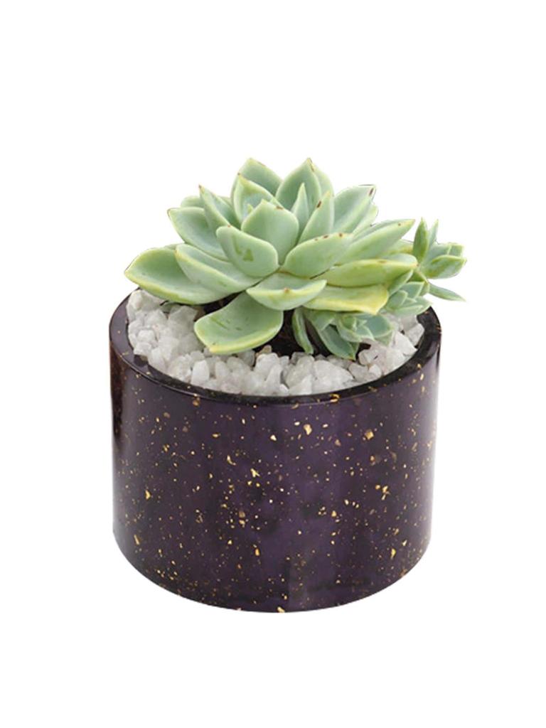 Суккулентные растения Изготовление Бетонная силиконовая форма 3D цветочный горшок ароматерапия гипс подсвечник DIY Цементная форма для кашпо