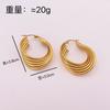 Geometric Personality Design Ring Earrings Niche Exaggeration Titanium Steel Earrings Women's Cold Wind Versatile
