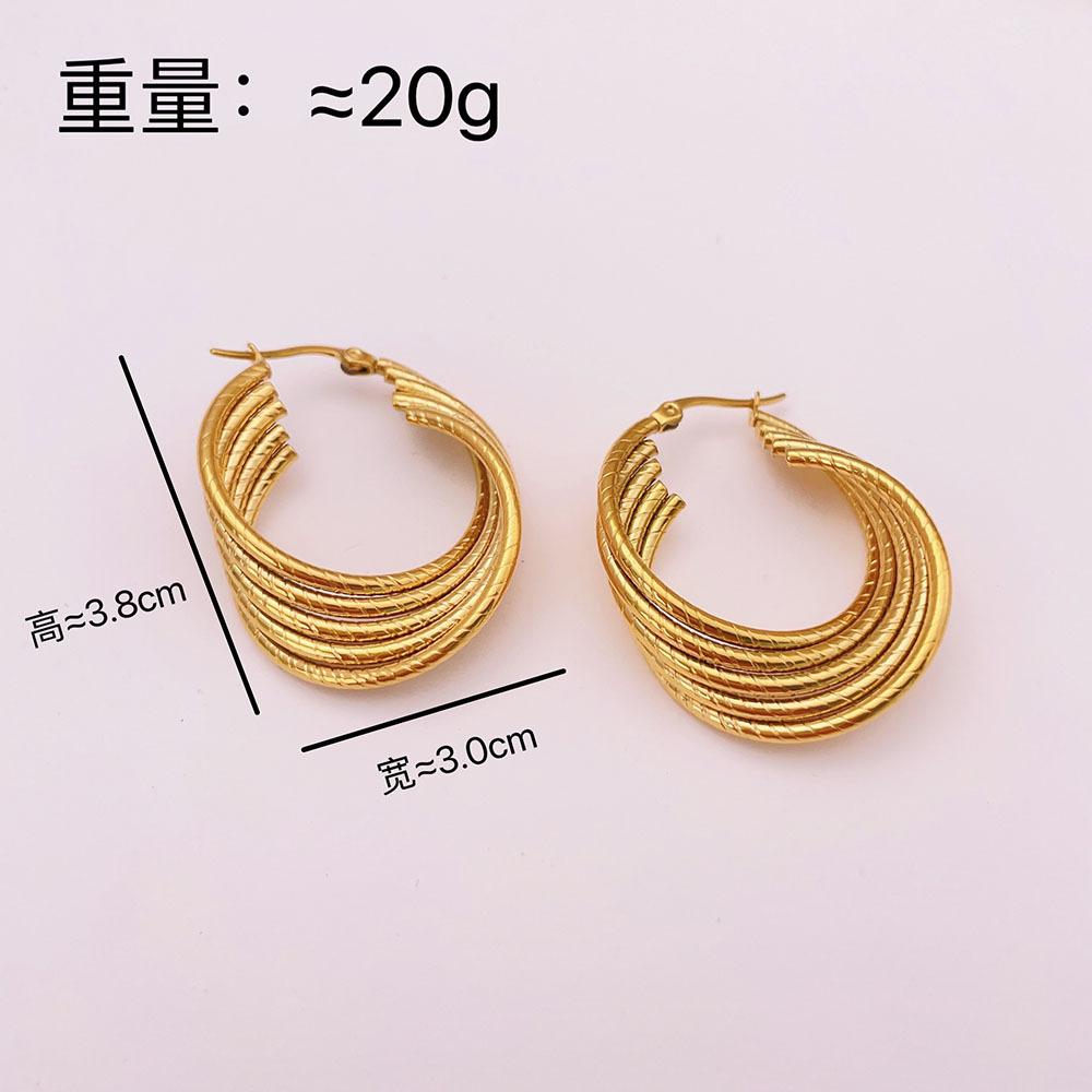 Geometric Personality Design Ring Earrings Niche Exaggeration Titanium Steel Earrings Women's Cold Wind Versatile