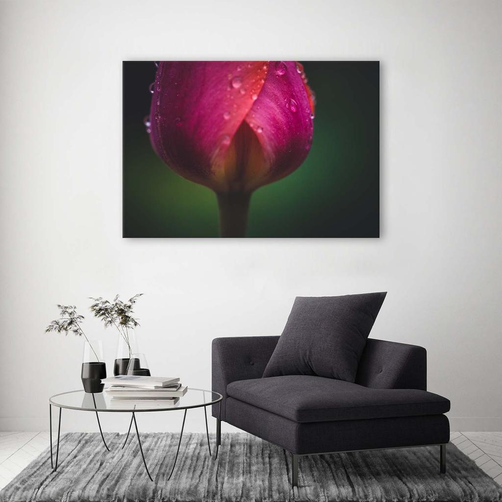 Canvas print, Bud and dew