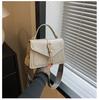 Foreign style women's bag 2025 new spring fashion one shoulder oblique span small square bag retro handbag texture female Korean version
