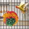 Shredder Ball Birds Toy Parrot Foraging Shredder Ball Birds Cage Hanging Toy for Parakeets Conures Cockatiels Love Birds