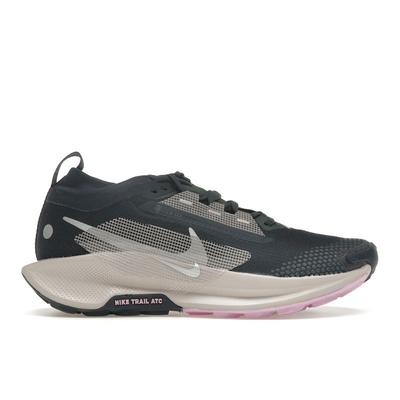 Pegasus Trail 5 GORE-TEX Armory Navy Platinum Violet женские кроссовки Blue Vintage-Green FQ0912-400