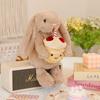 Embrace Strawberry Cake Bonnie Rabbit Cute Plush Toy Doll Gift Rabbit