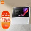Xiaomi Умный домашний экран 6 вилка CN (адаптер в комплекте)