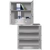 Tiger Brand Split Two-Section Steel Office Safe