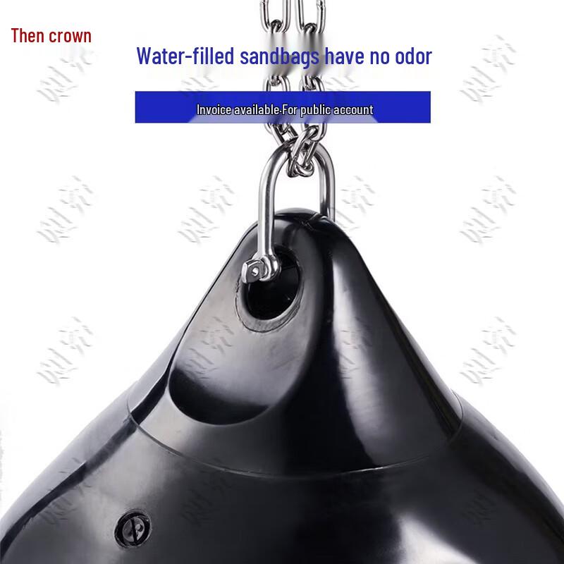 Zeya Boxing Water-filled Punching Bag