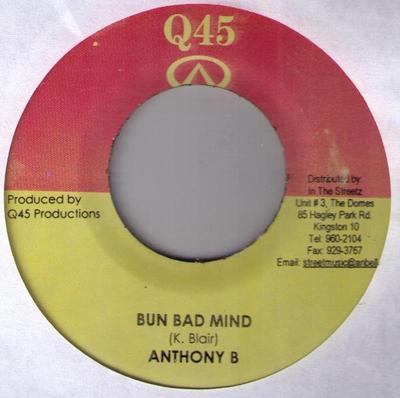 7-дюймовая пластинка ANTHONY B / PREDATOR & SINGING BIRD - Bun Bad Mind / Old Woman NONE Q45 2006 Ямайка Регги, Ска и Даб Б/У