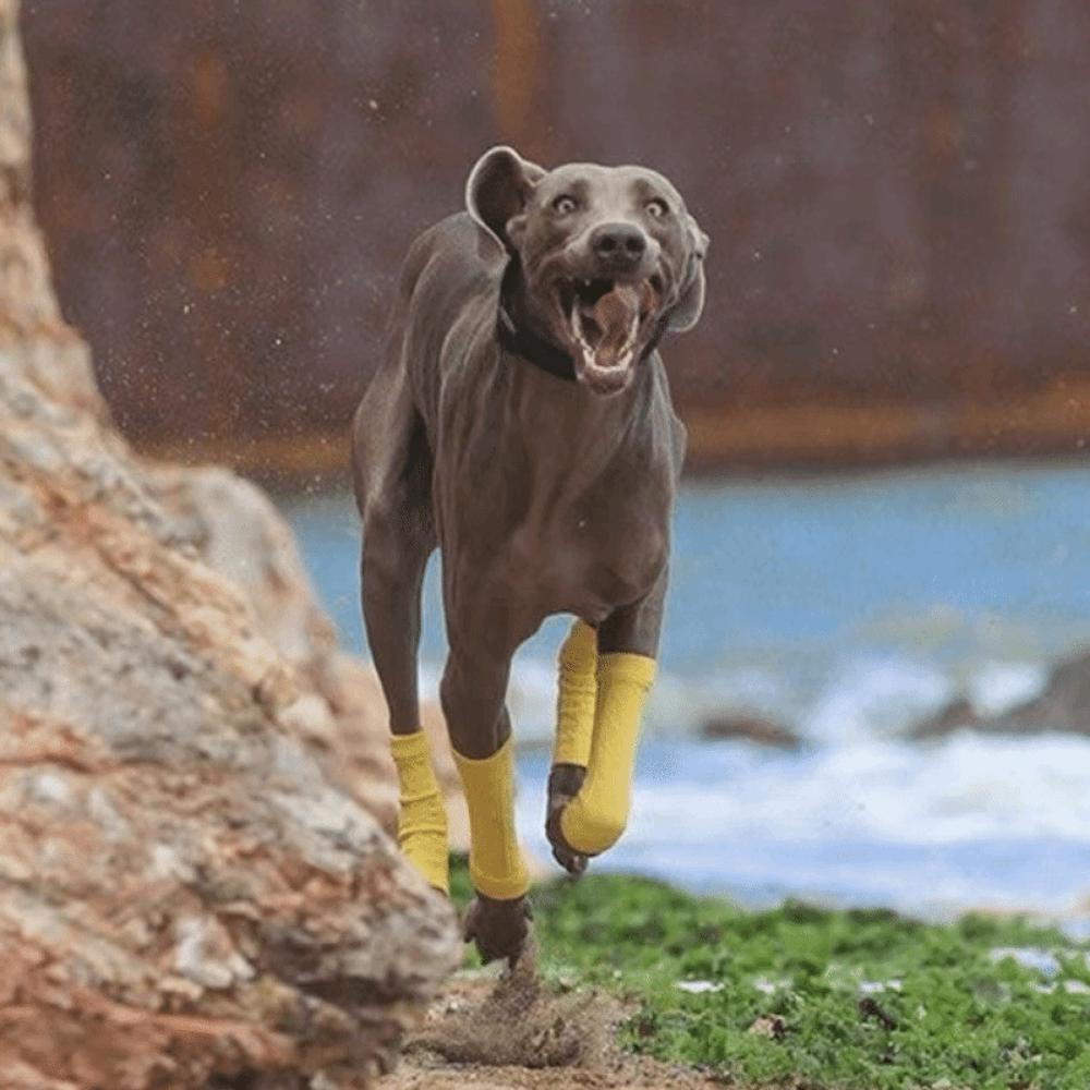 Warm Dog Leg Covers Elastic Knitted Dog Leg Warmer Puppy Leg Protector Pet Socks  Leg Protection