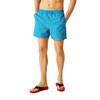 Regatta Мужские шорты для плавания Loras Anchor