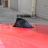 Универсальная Антенна-Акулий Плавник для Автомобиля Авто Радио Антенны Сигнала FM Антенны на Крышу для BMW/Toyota/Hyundai/VW/Kia/Nissan Авто Стайлинг