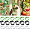 100/1Pcs Plastic Plant Support Clips Reusable Garden Vegetable Tomato Vines Upright Twine Plant Fixed Clips Holder Grafting Fixing Tools