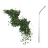 Gyokuro Green Tea 50 G + 4 Stainless Steel Straws