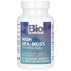 Irish Sea Moss, Veggie Capsules 90 (750Mg per capsule)