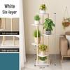Solid Wood Multi-Tier Plant Display Stand